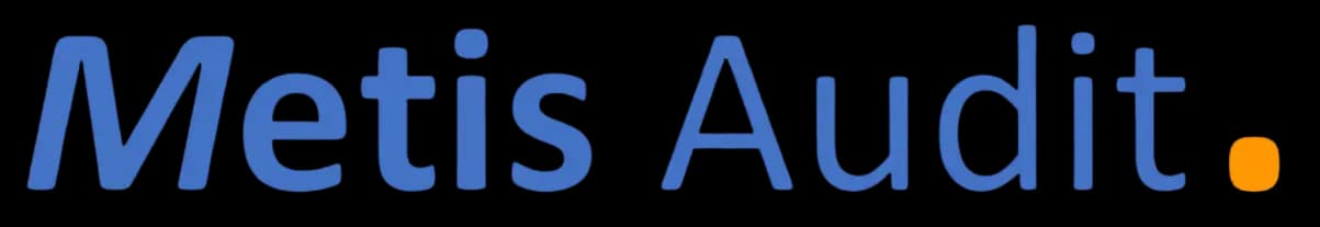 Metis Audit logo